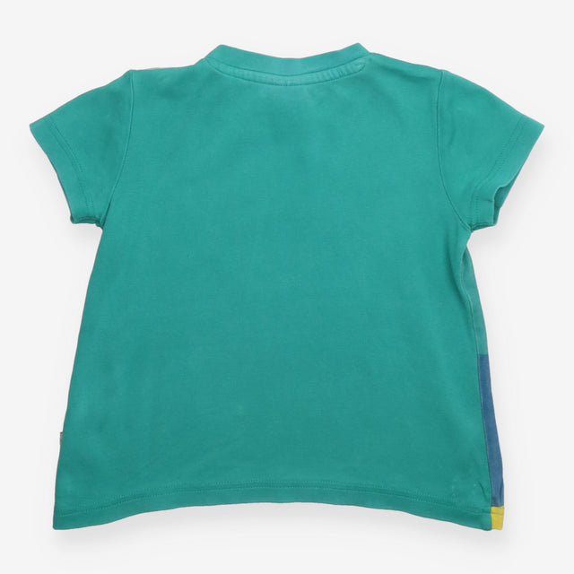 T-shirt green whale shark and turtle