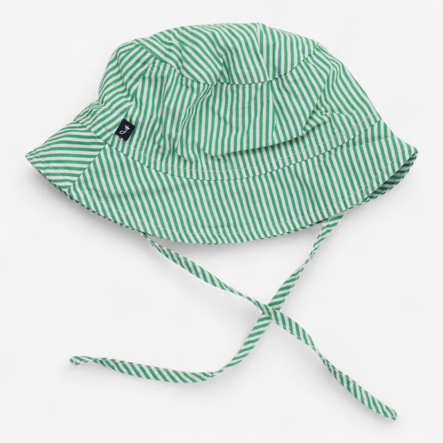 Outfit short shirt and hat green stripe dog
