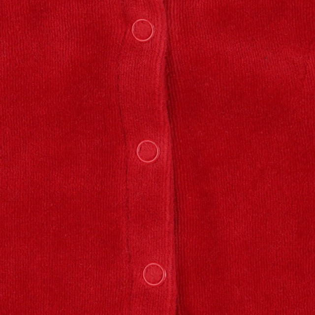 Red Velour Dress