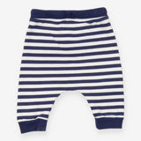 Triceratops Stripe Joggers 