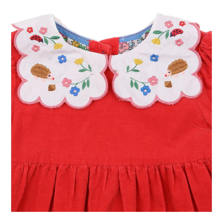 Dress red cord collared hedgehogs