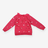 Sweater collar pink birds flowers