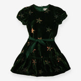 Green Velvet & Sequin Stars Dress