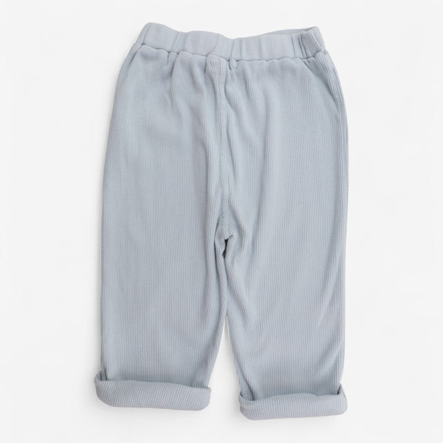 Trousers baby blue ribbed with brown buttons