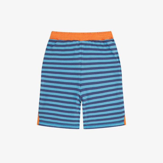 Bug Explorer Reversible Shorts
