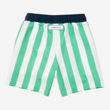 Spike the dino stripe green swim trunks