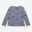 T-shirt long sleeve blue stripe dinosaurs