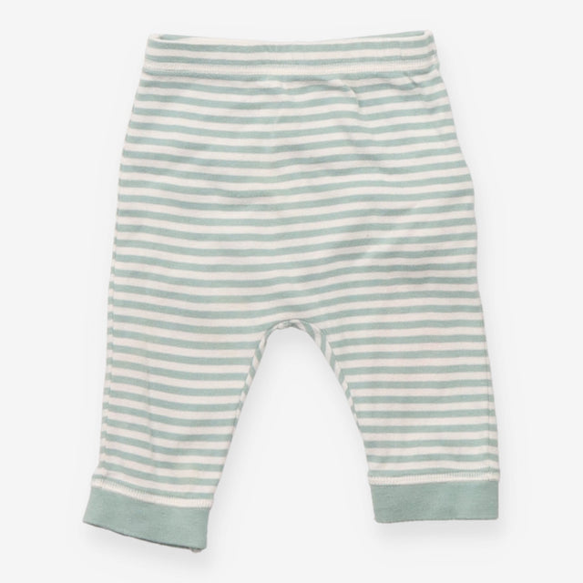 Leggings green and white striped