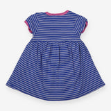 Blue Striped Dress Pink Lining 