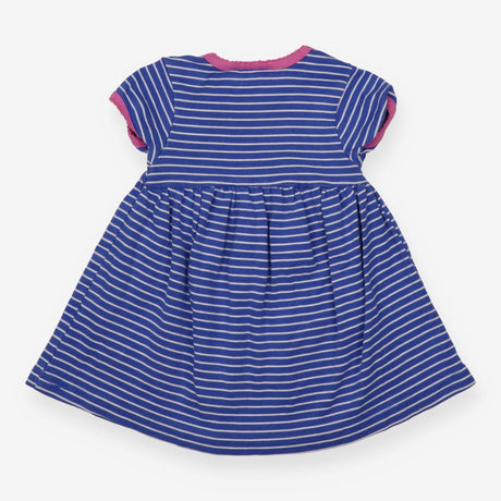 Blue Striped Dress Pink Lining 