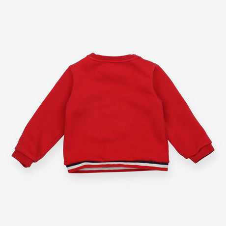 Red jersey sweater sausage dog