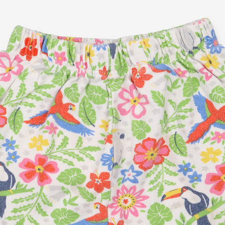 Joggers tropical birds