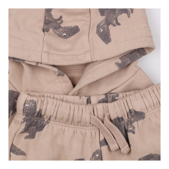 Outfit hoodies and jogger brown dinosaurs