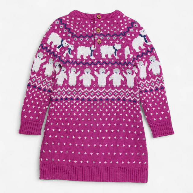 Purple Knit Dress with Polar Bears