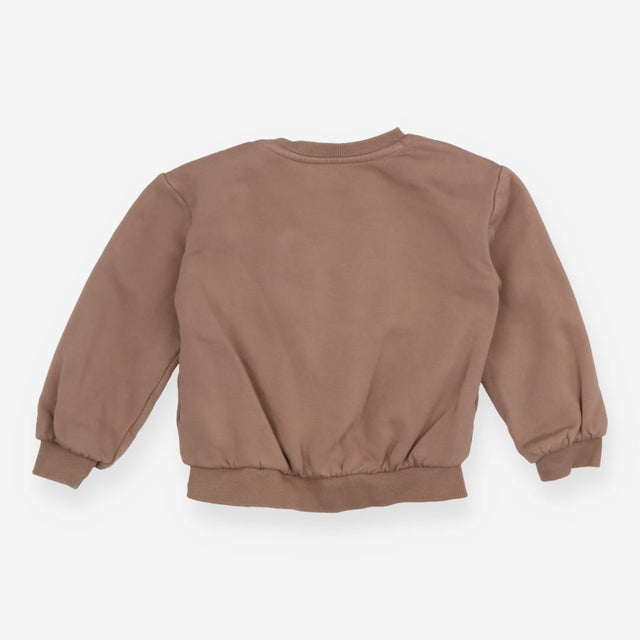 Brown be hoppy bunny sweater