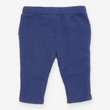 Joggers blue fox head