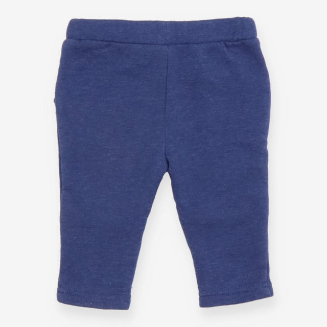 Joggers blue fox head