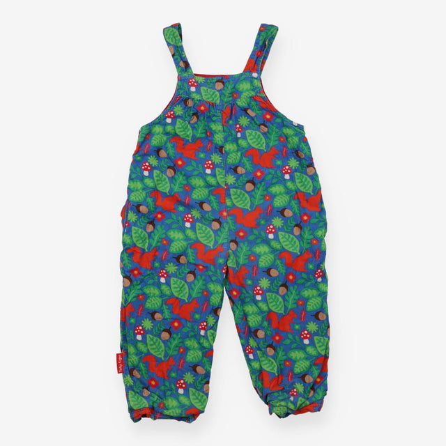 Dungarees cord blue squirrel green leaf