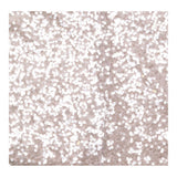 Sequin Top in Champagne Silver with Short Sleeves