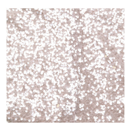 Sequin Top in Champagne Silver with Short Sleeves