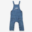 Denim Dungarees Triceratops and Flowers