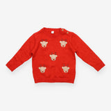 Knit Sweater Red Rudolph