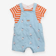 Outfit blue dungarees orange stripe SS tee seagull