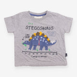 Grey I'm A Stegosaurus T-shirt