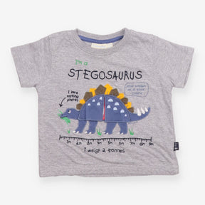 Grey I'm A Stegosaurus T-shirt