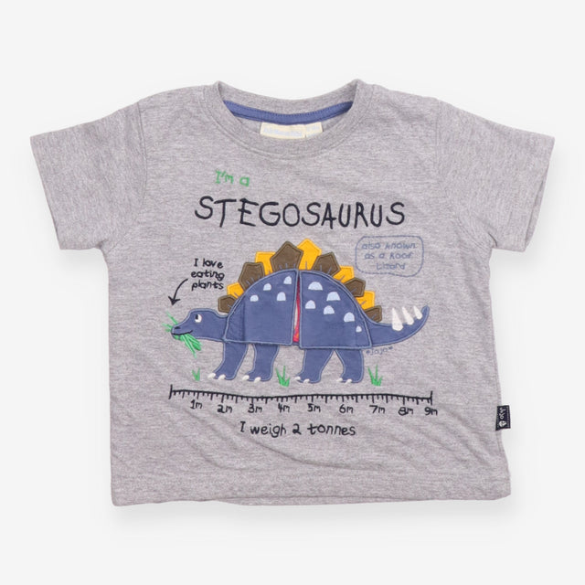 Grey I'm A Stegosaurus T-shirt