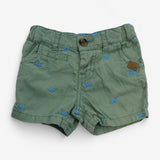 Outfit green T-shirt and shorts with dinosaurs