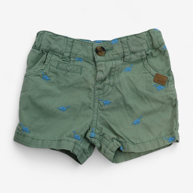 Outfit green T-shirt and shorts with dinosaurs