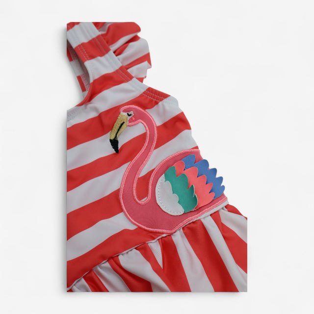 Swimming Costume Coral Stiped Flamingo