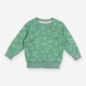 Green Dinosaur Sweater 