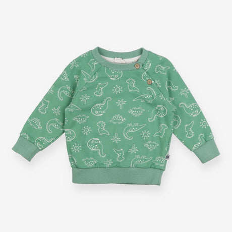 Green Dinosaur Sweater 