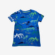 Blue Jurassic Dinosaur Top