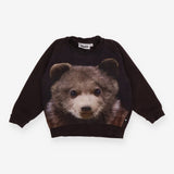 Sweatshirt brown bear