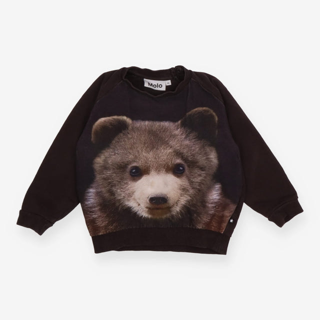 Sweatshirt brown bear
