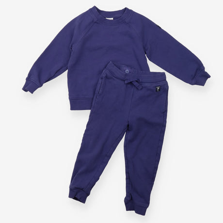 Purple Sweater and Joggers Outfit 