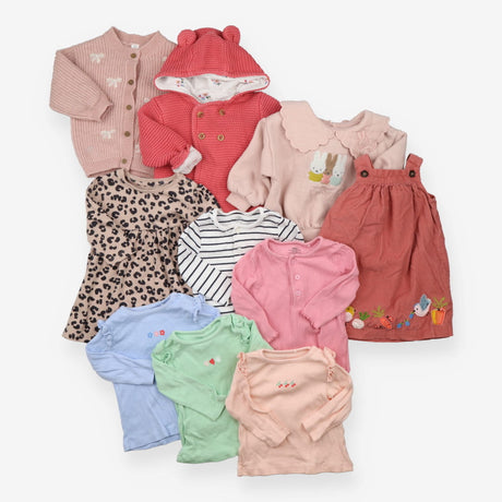 Baby Girls Bundle 3-6m 10pcs