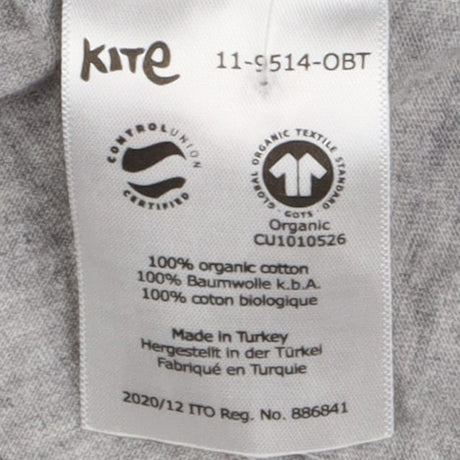 Tee grey dinos