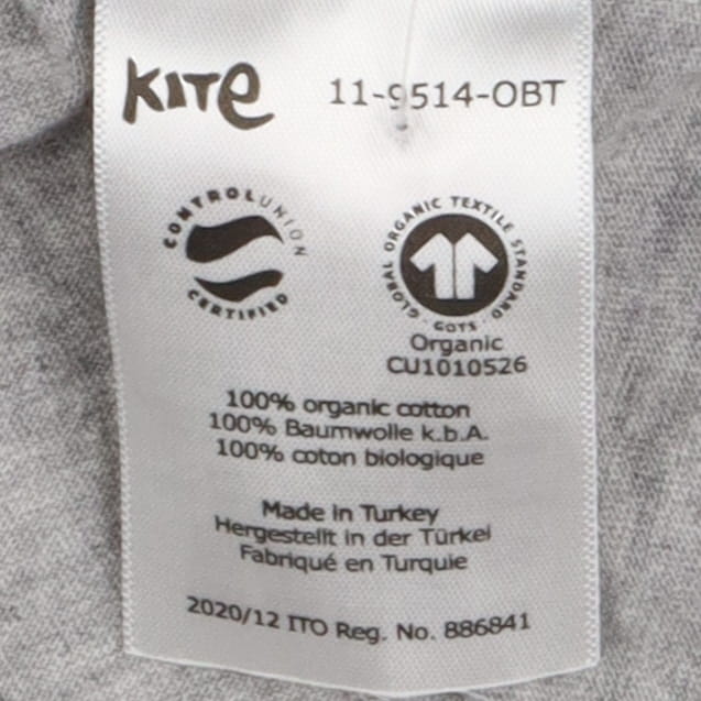 Tee grey dinos