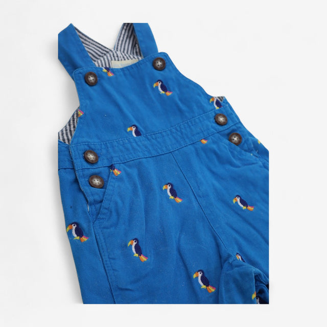 Dungarees Shortie Blue Toucans