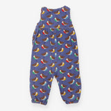 Dungarees Cord Blue with Colourful Robins