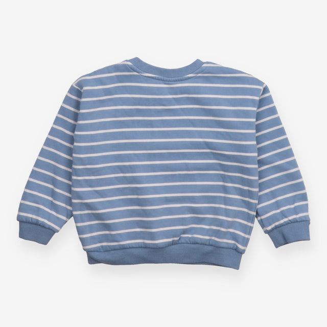 Blue Dino Sweatshirt