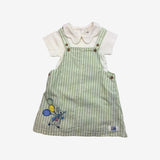 Green Stripe Peter Rabbit Pinafore Dress with Body