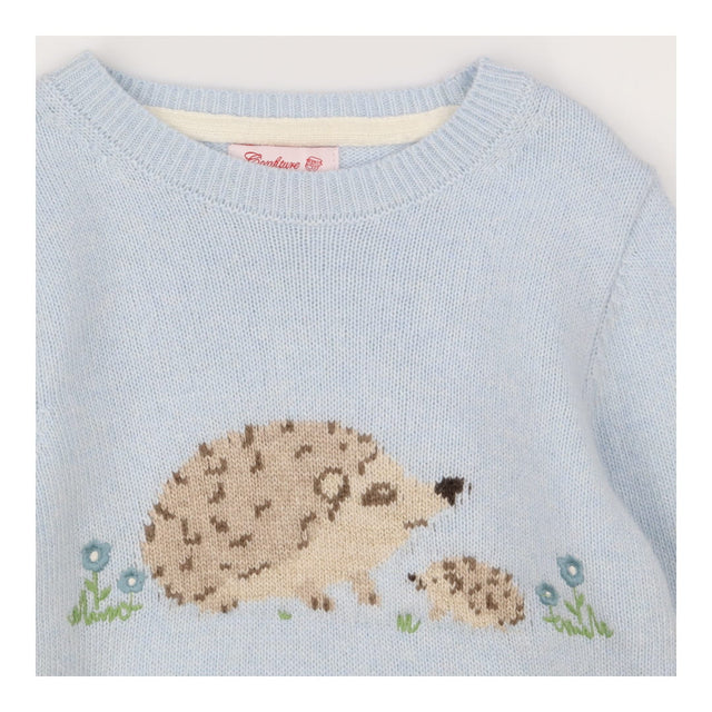 Sweater blue hedgehogs