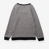 Sweater grey hero cat