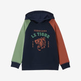 Kids' Colour Block Tiger Hoodie, Multi