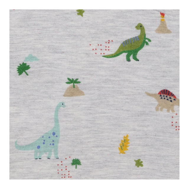 Grey Dinosaur Dungarees and Long Sleeve 